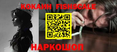 крисы Кингисепп