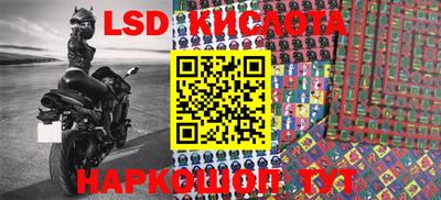 крисы Кингисепп