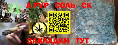 крисы Кингисепп