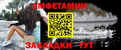 крисы Кингисепп