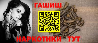 крисы Кингисепп