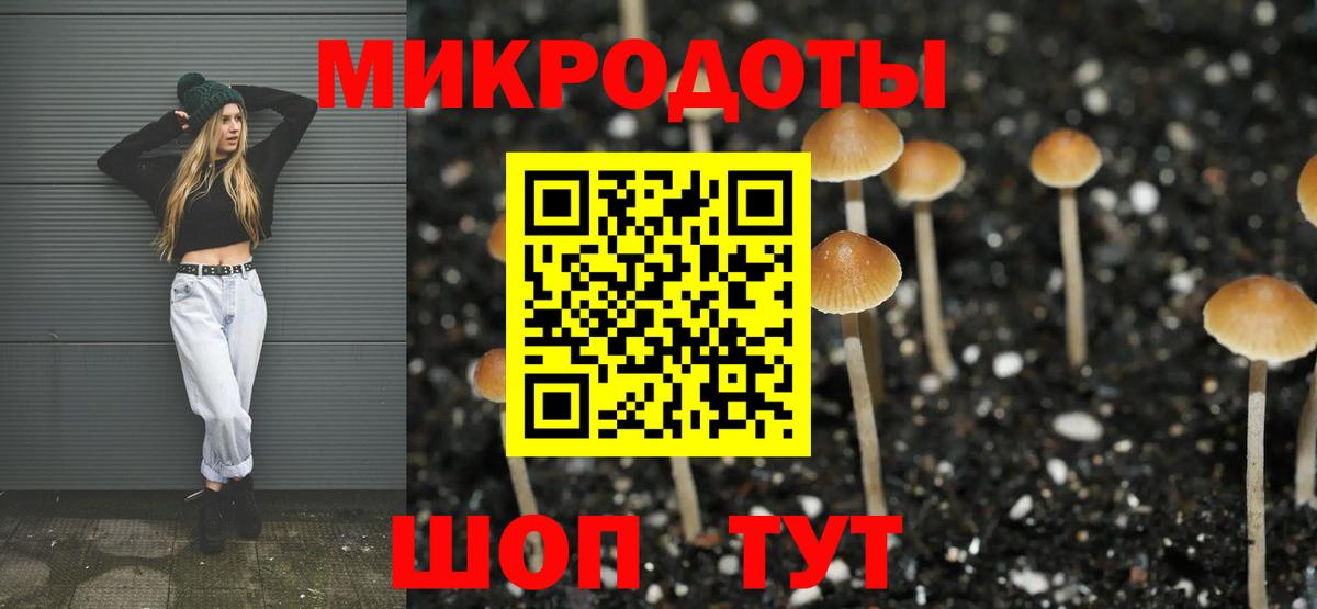 Котельники  Галлюциногенные грибы ЛСД  Вход с VPN 